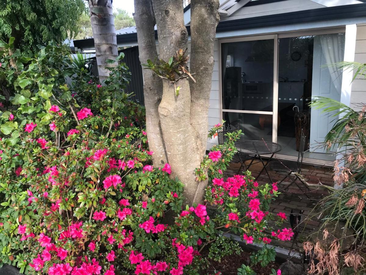 Bayview Studio Inverloch Zewnętrze zdjęcie